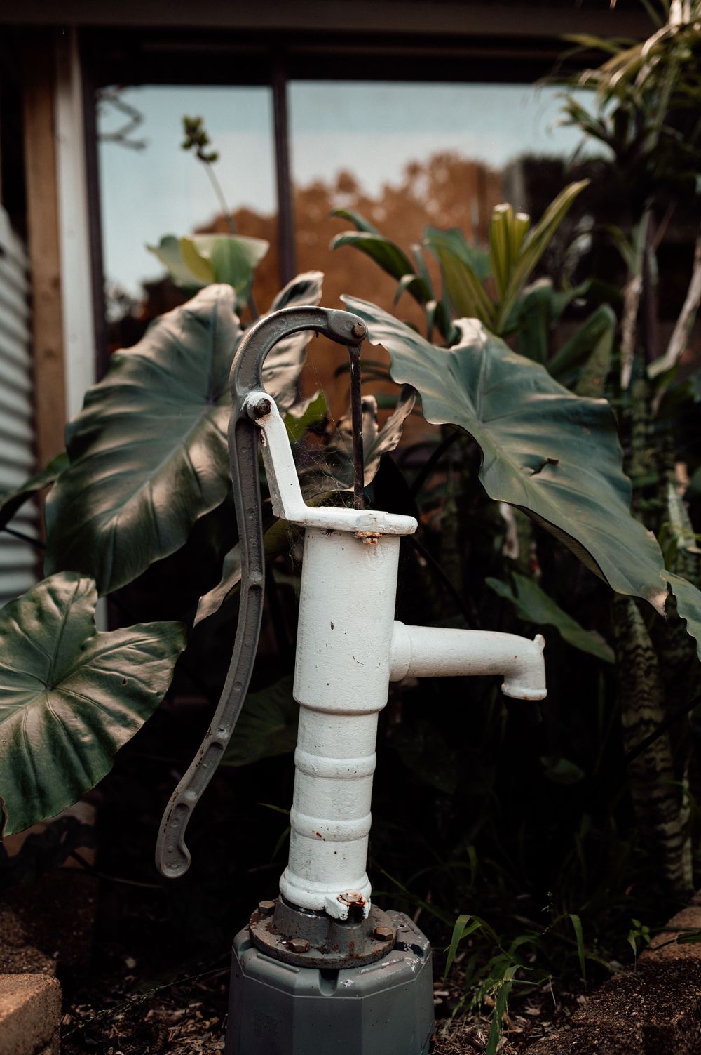 Vintage white cast iron hand water pump surrounded by lush tropical plants in a garden setting.