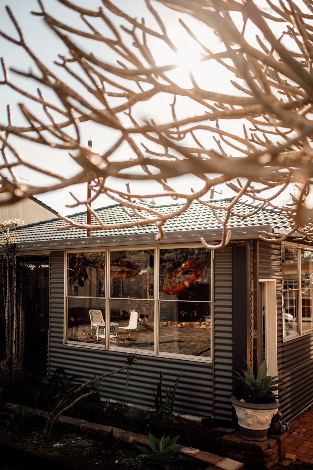 Rustic corrugated iron cottage exterior with bare branches in foreground bathed in warm golden sunlight.