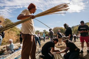 People harvesting and bundling natural reeds outdoors during a traditional craft workshop.