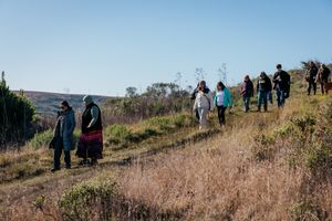 Group of people hiking single file along a trail through dry golden grasslands under blue sky.