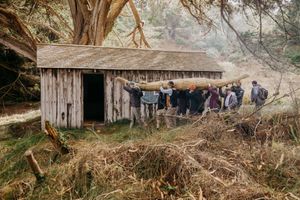 Group of people gathered around a weathered wooden shed surrounded by overgrown vegetation in foggy woods.