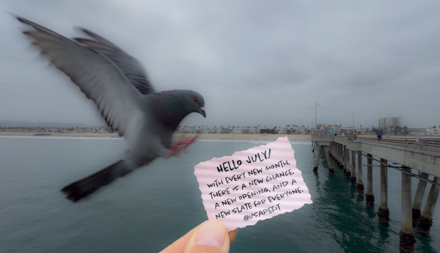 A pigeon flies near a hand holding a handwritten note above a pier on an overcast day.