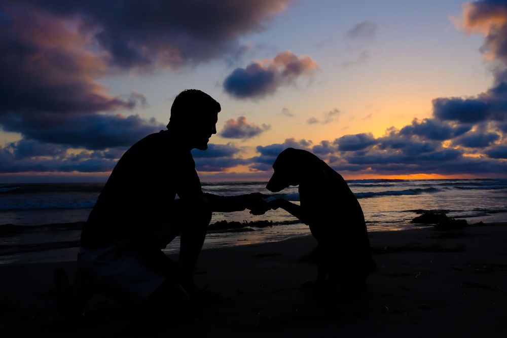 Silhouette of a man and dog shaking hands on a beach at sunset with colorful clouds in the sky.