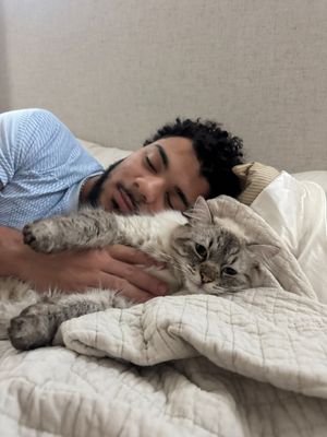 Man with curly hair cuddling a fluffy gray cat on a white quilted bed.