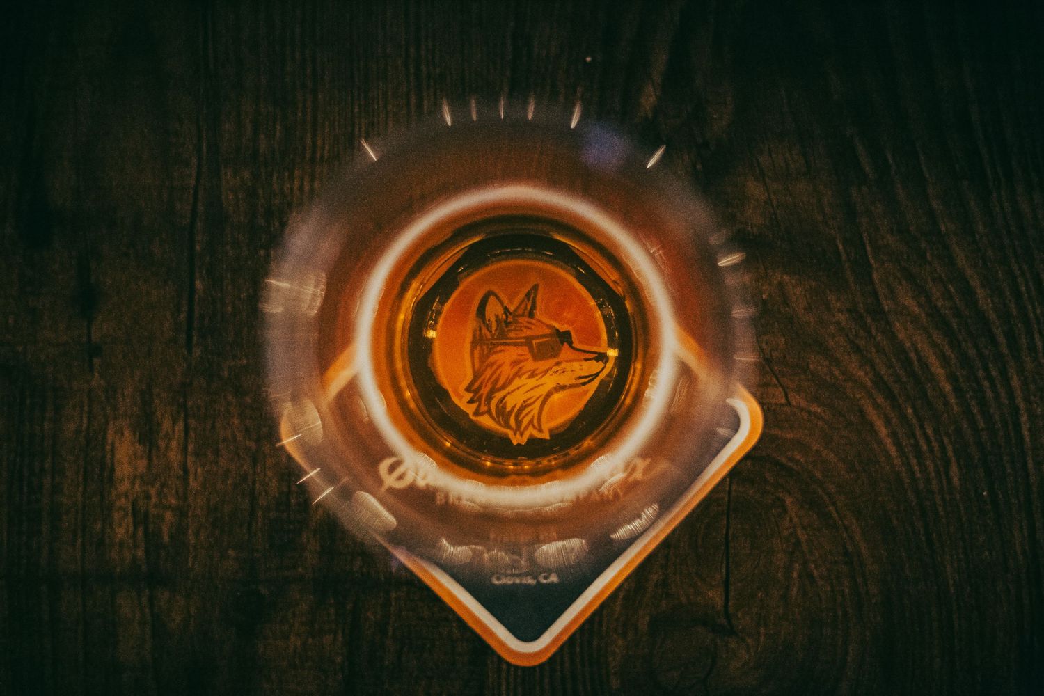 A top-down shot of the Summer Fox Brewing Company logo through a glass of beer