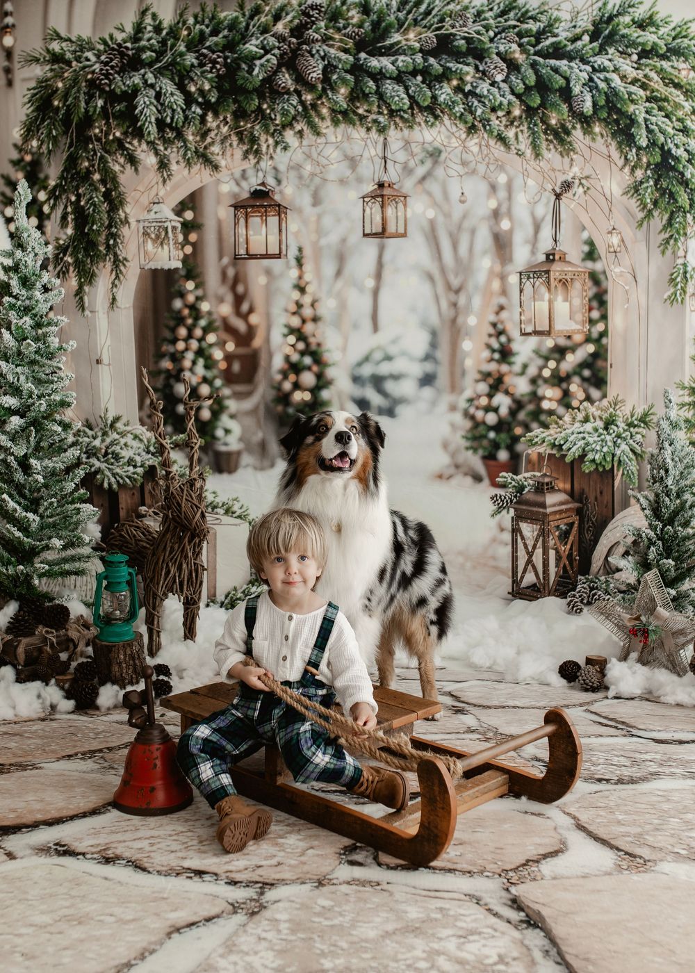 A young child sits on a wooden sled with an Australian Shepherd dog in a festive Christmas winter wonderland setting.