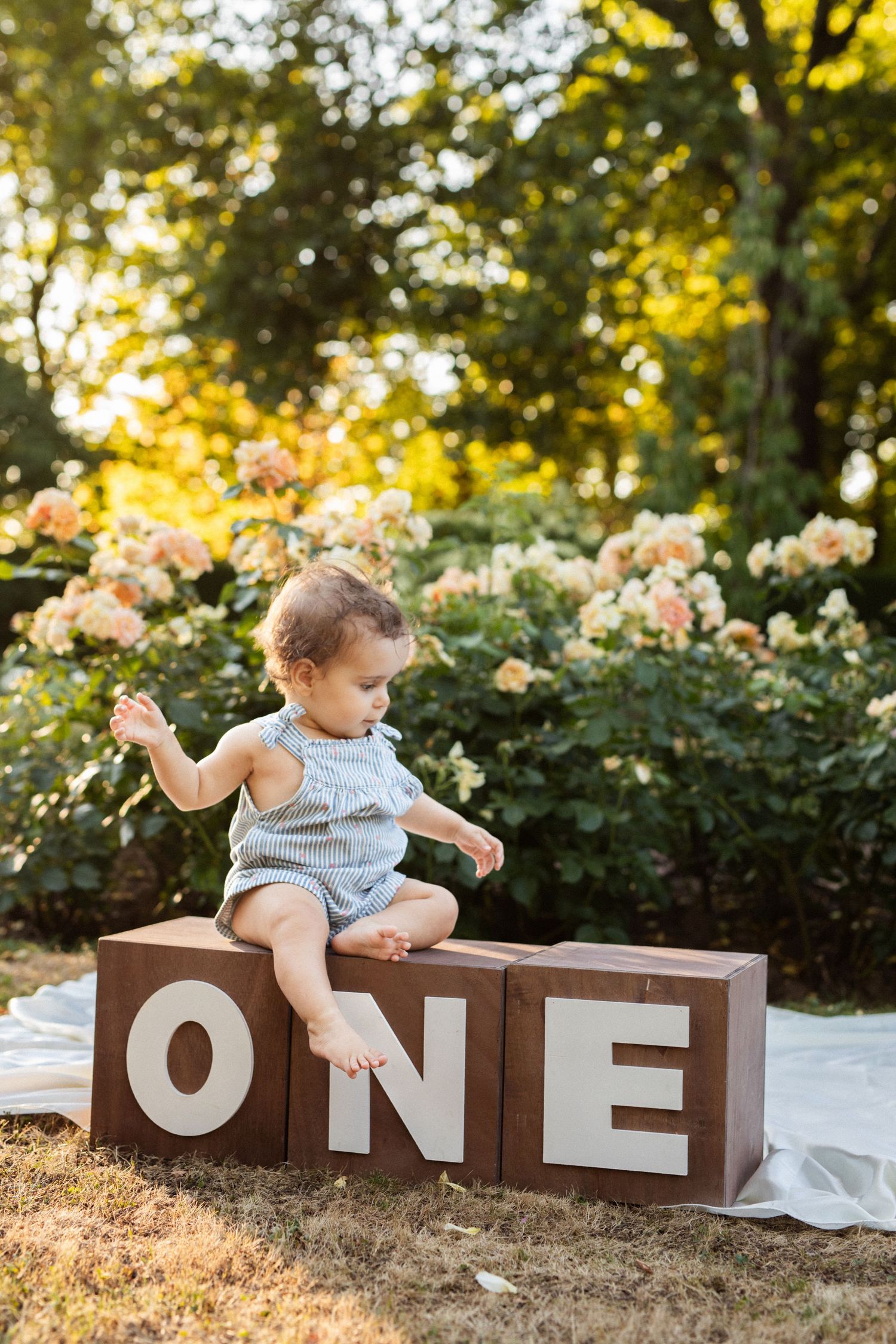 Baby in blue romper sitting on wooden ONE blocks in garden for first birthday photo shoot.