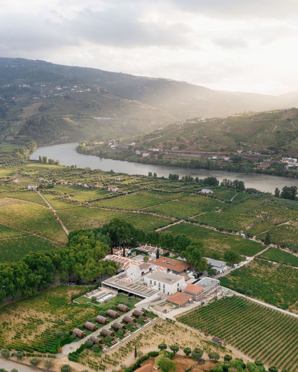 Aerial panoramic views of terraced vineyards along the Douro Valley in Portugal with winding river and sunlit hillsides.