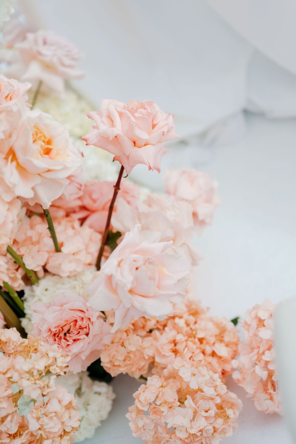 Delicate pink and peach carnations arranged in a soft, romantic cluster against a light background.