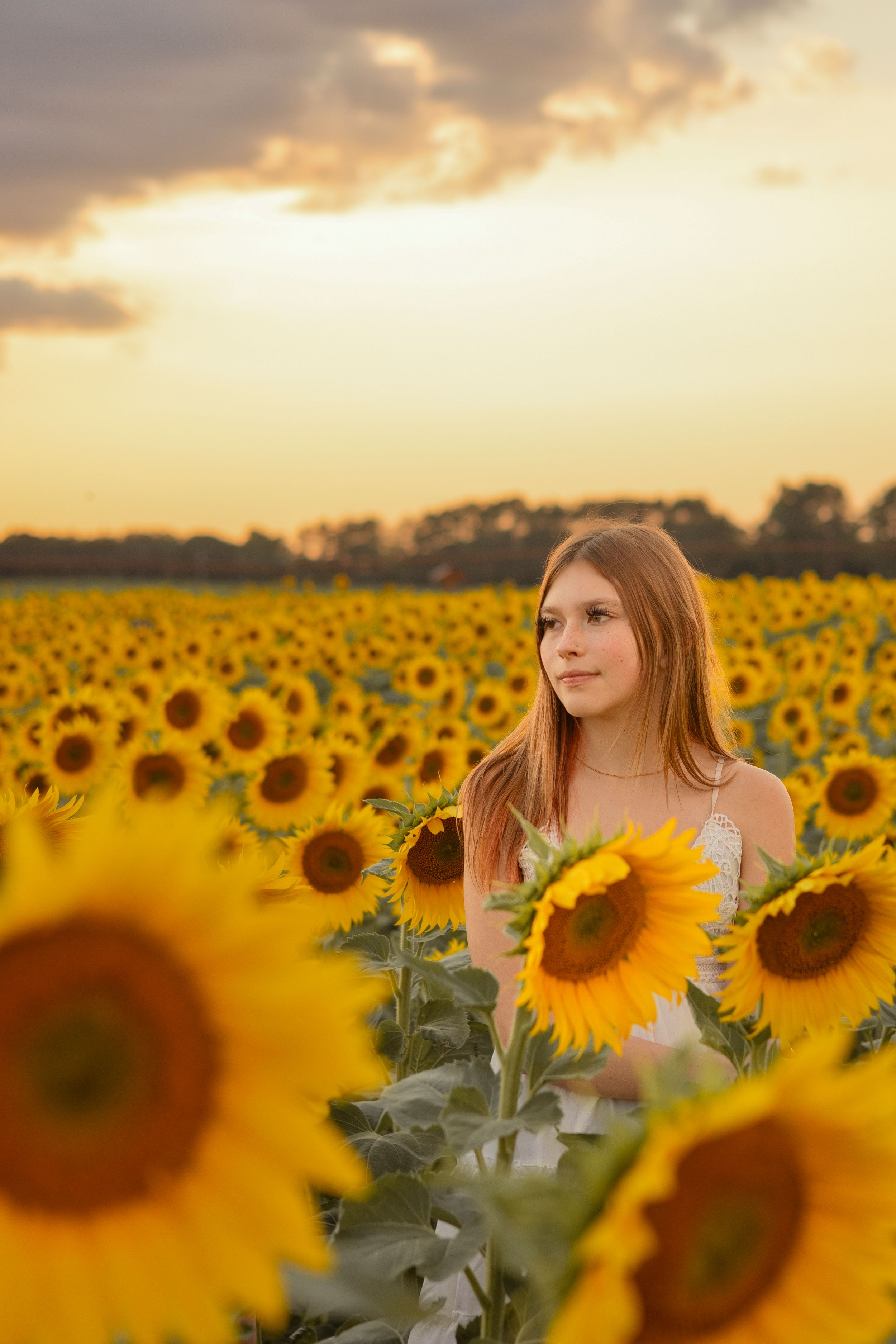 Young woman with long hair standing in a vast sunflower field at golden sunset, gazing thoughtfully into the distance.