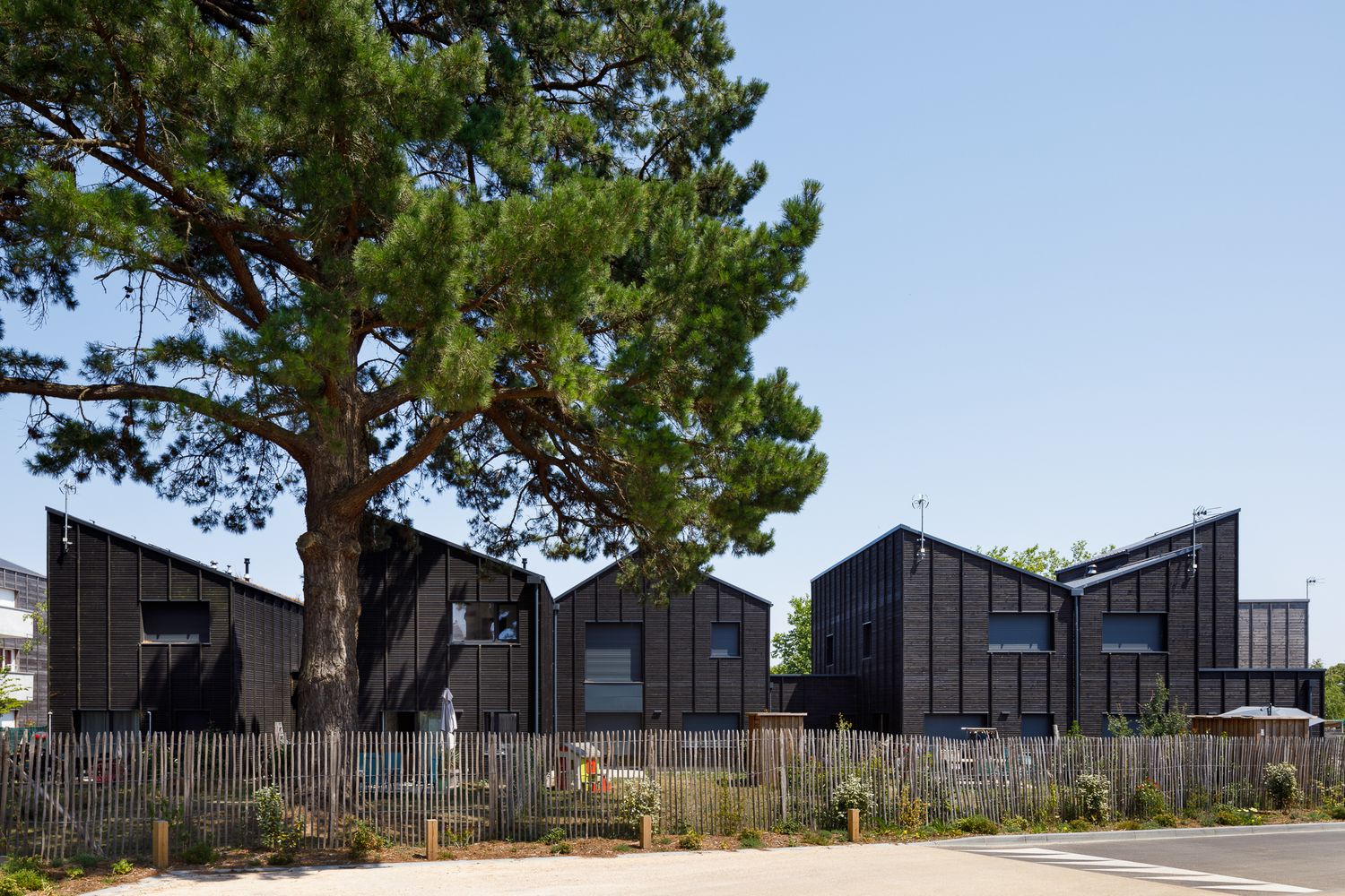 Rangée de maisons revêtues de bois sombre, dotées de toits à pignons asymétriques, aux côtés d'un grand pin