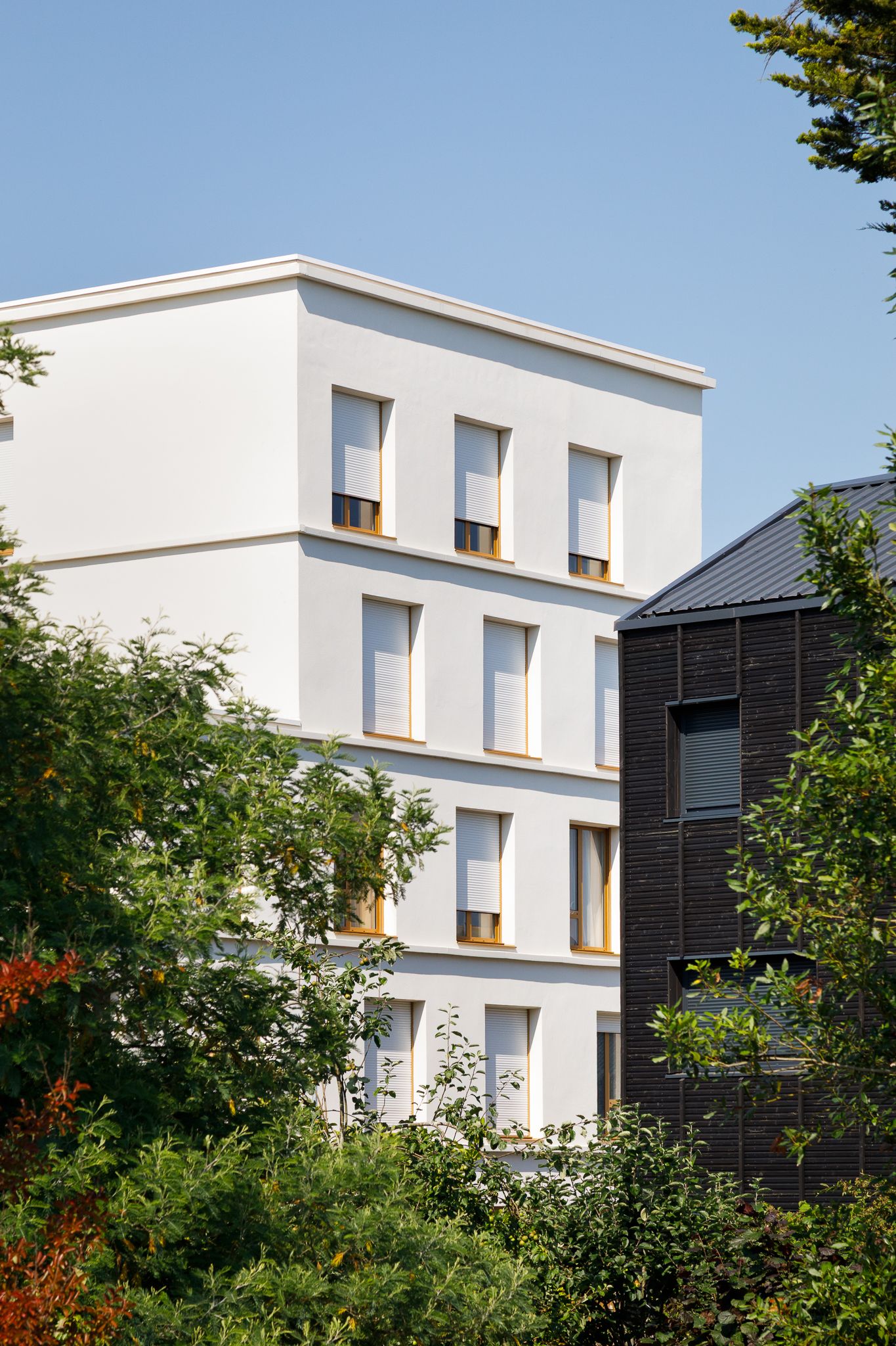 Immeuble d'appartements moderne et blanc, doté de grandes fenêtres et entouré d'arbres au feuillage verdoyant, sous un ciel bleu limpide.
