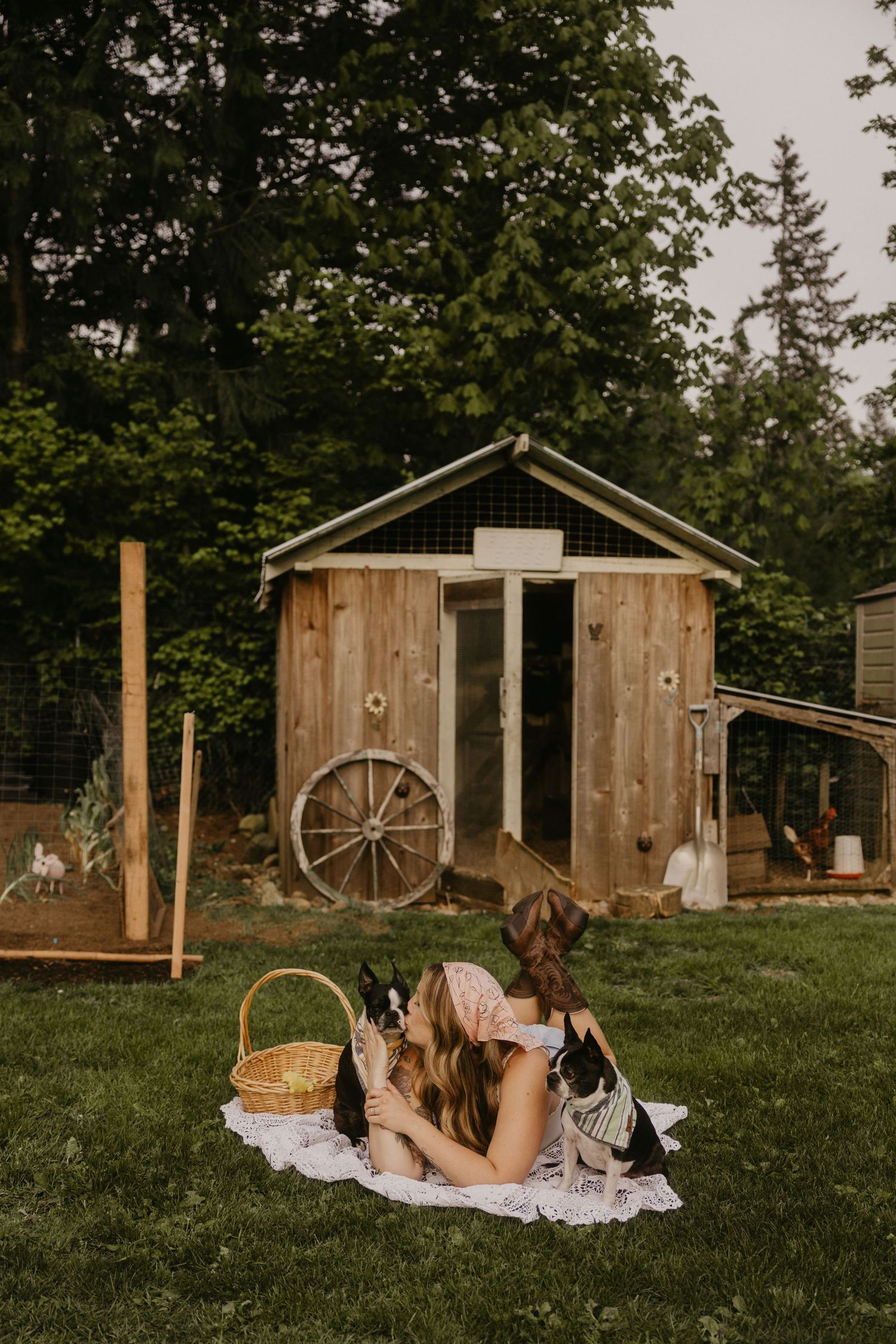 Woman lying on blanket with two Boston Terriers in rustic backyard with wooden shed and wicker basket.