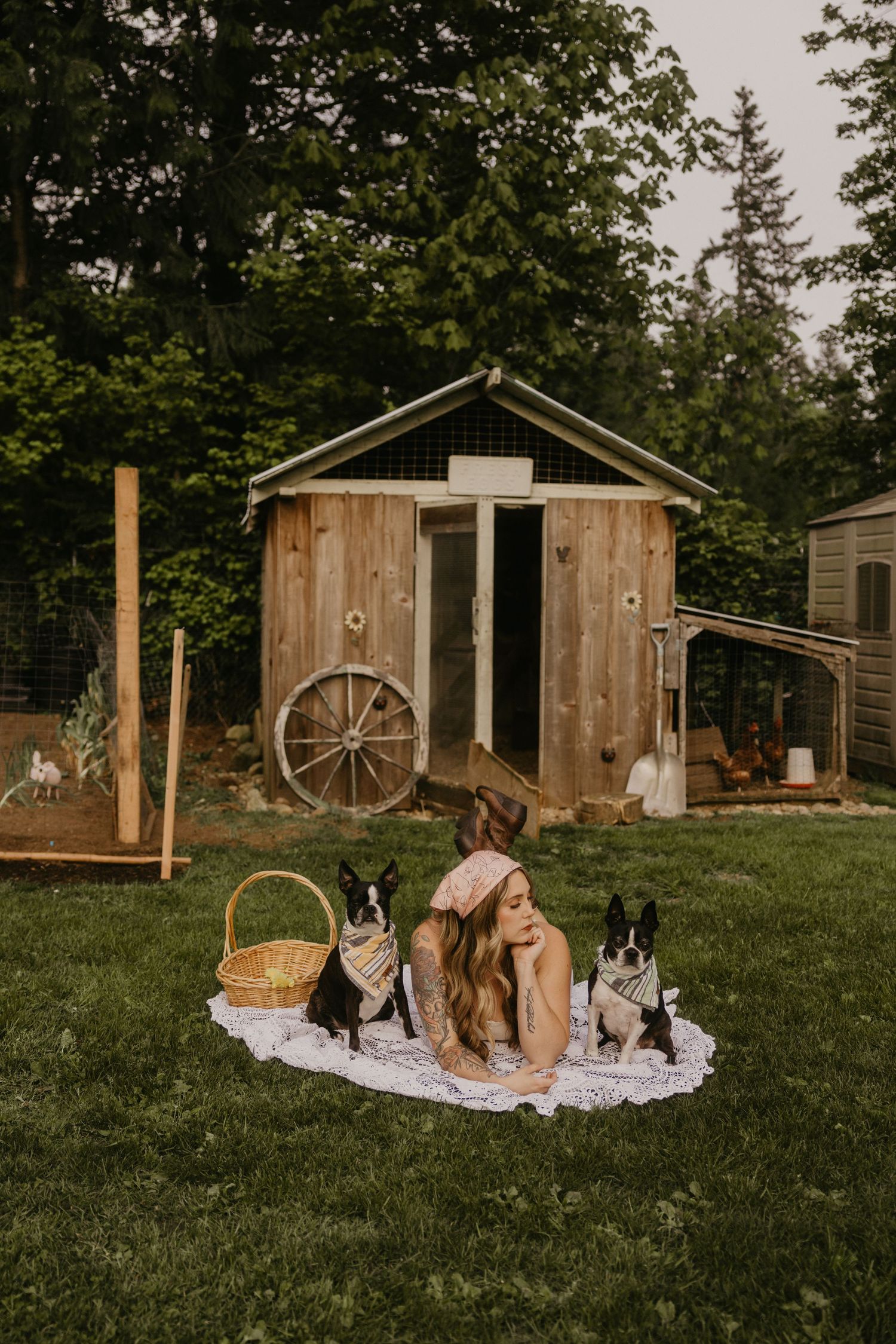 Woman relaxing on blanket with two Boston Terriers wearing bandanas in backyard near rustic wooden shed.