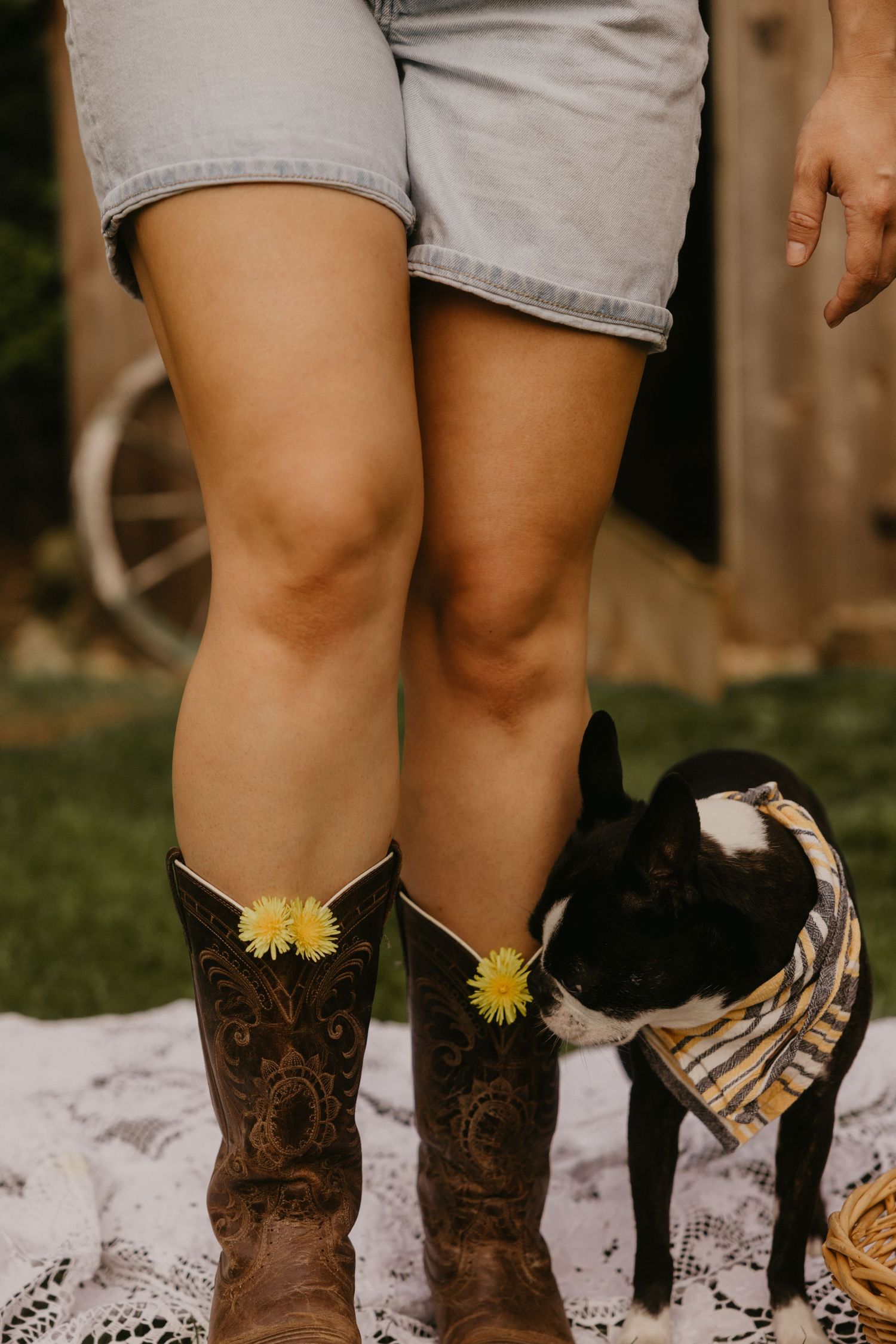 Woman in denim shorts and brown cowboy boots with yellow flowers standing next to a small dog wearing a bandana.