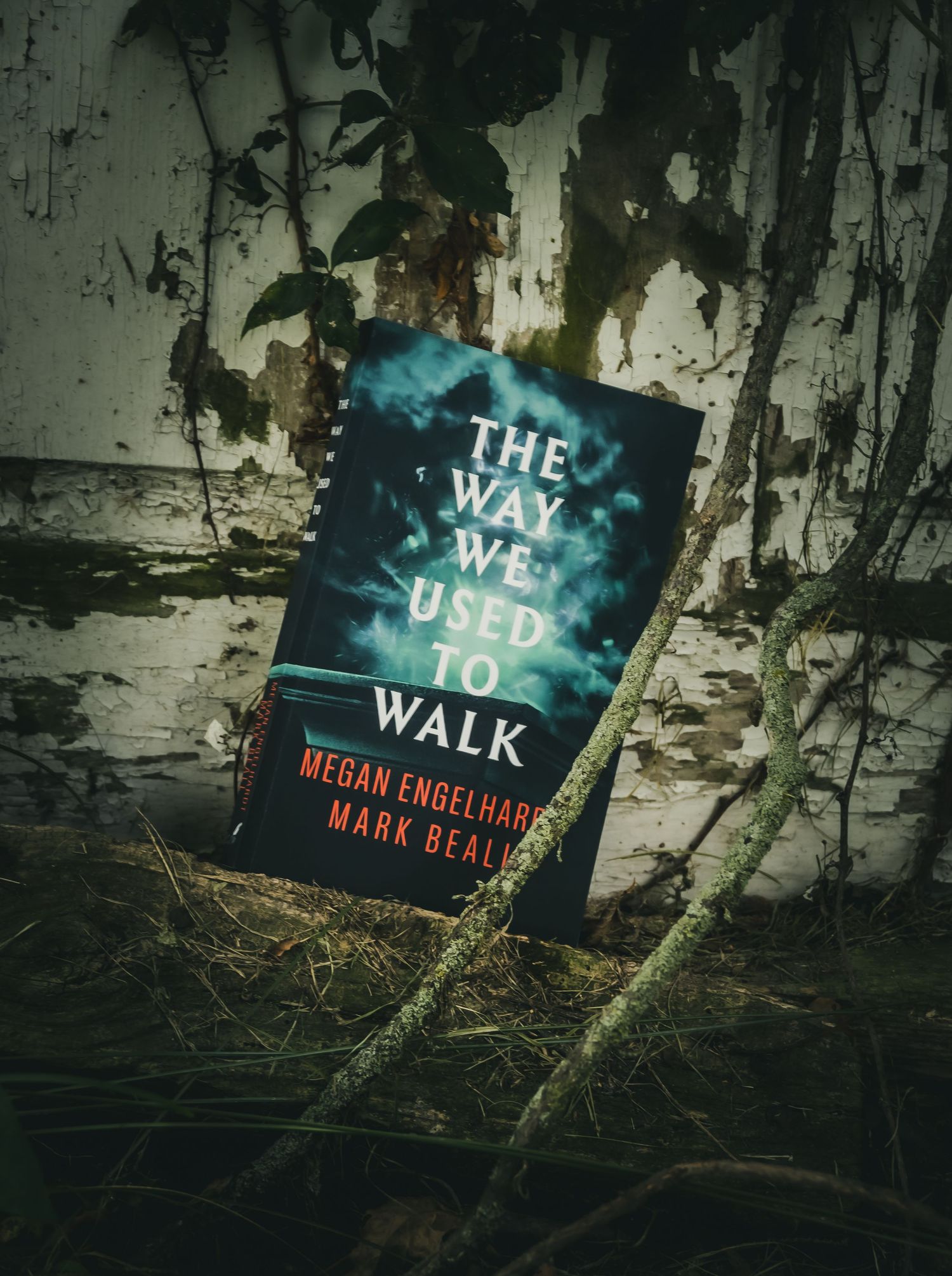 Book 'The Way We Used to Walk' by Megan Engelhardt and Mark Beall resting on roots against a weathered wall.