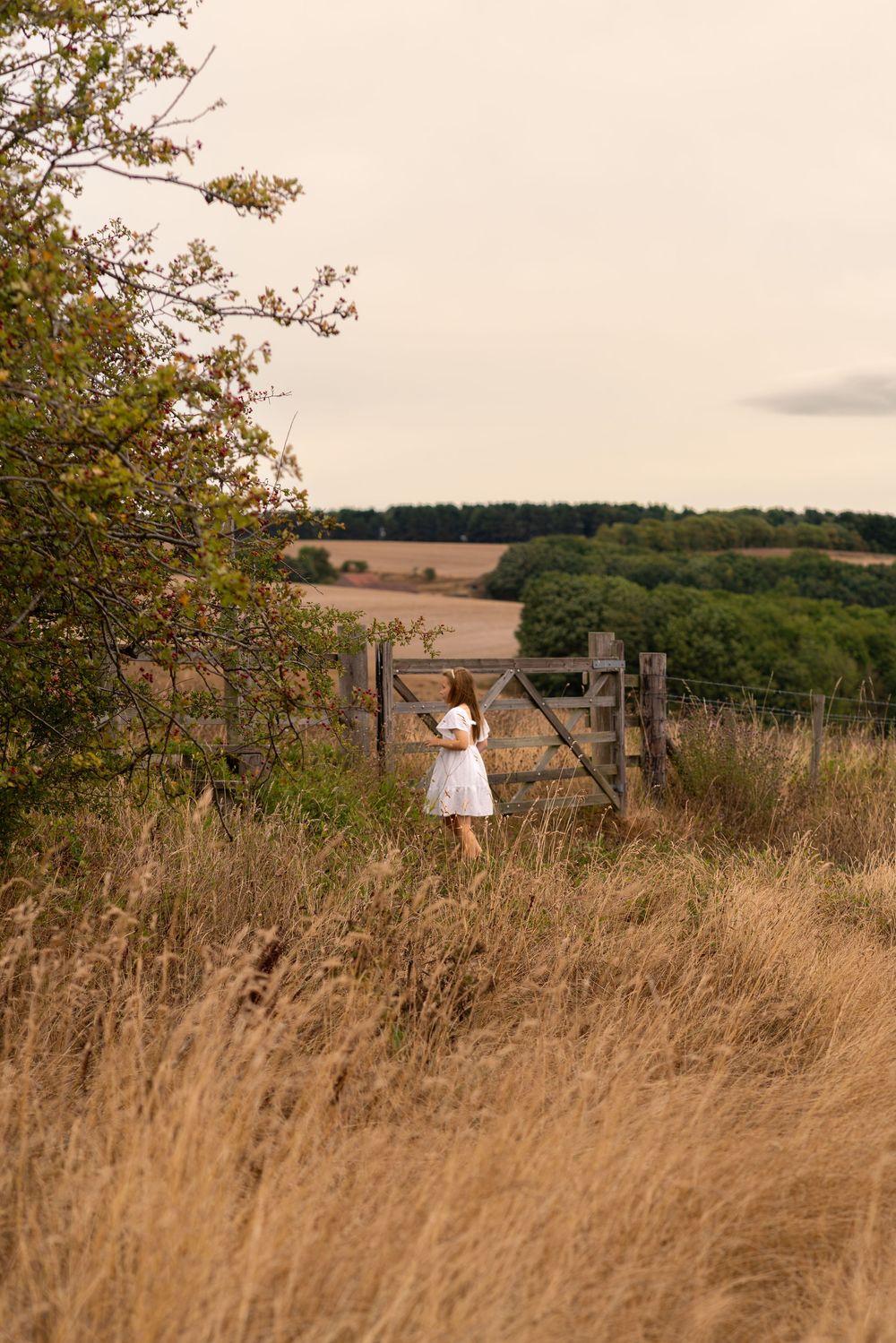 A girl in a white dress stands by a wooden gate in golden countryside fields with green hills beyond.