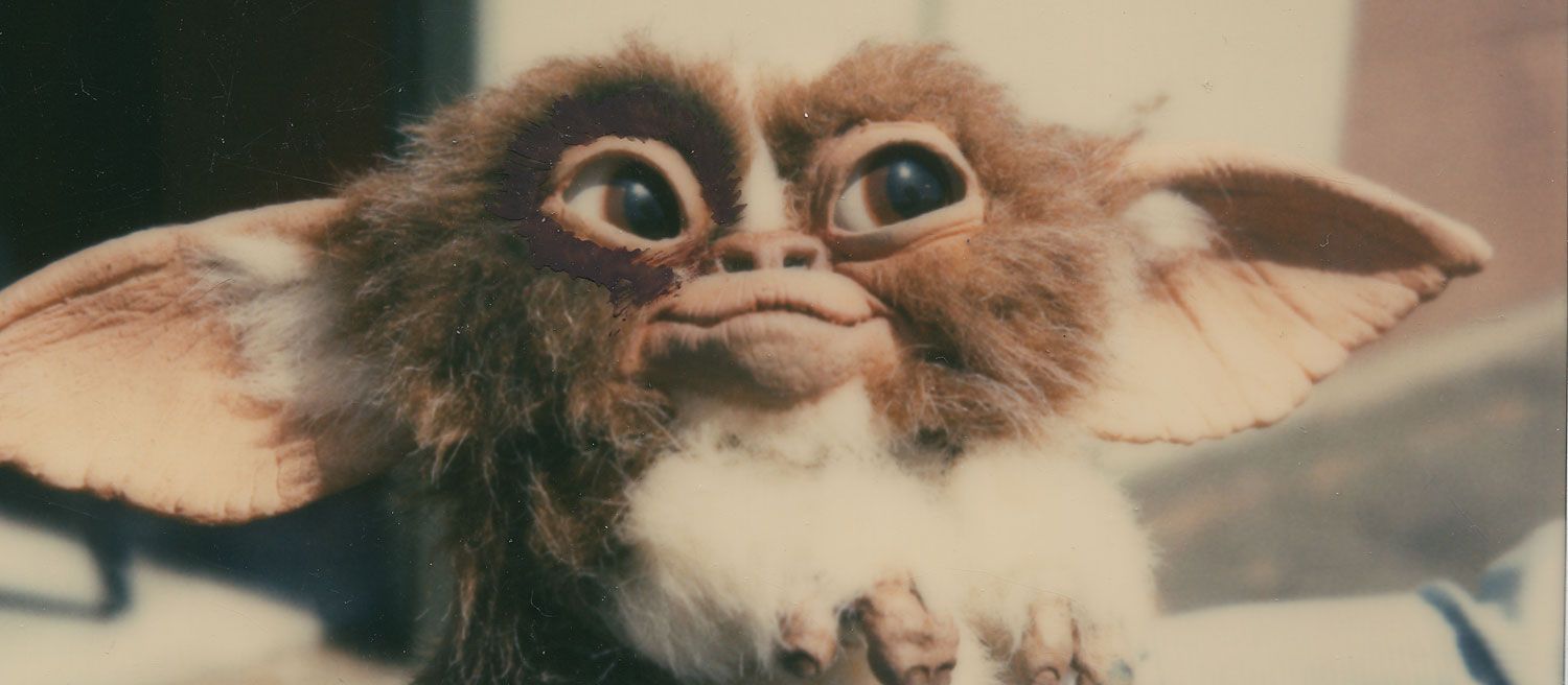 Bandit Gremlin