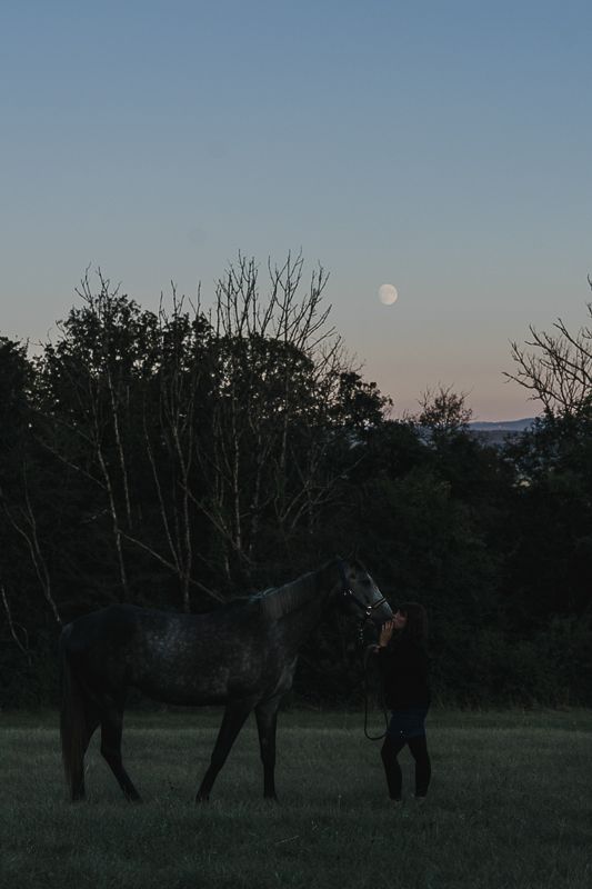 A woman faces a gray horse in a grassy meadow at dusk as the moon rises over silhouetted trees.