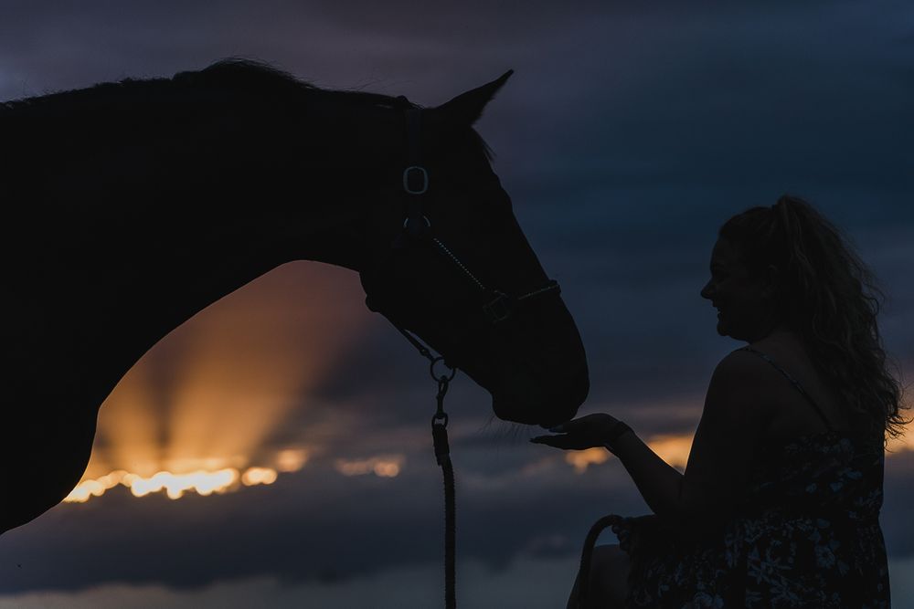 Silhouette of a woman reaching out to touch a horse's nose against a dramatic blue and orange sunset sky.
