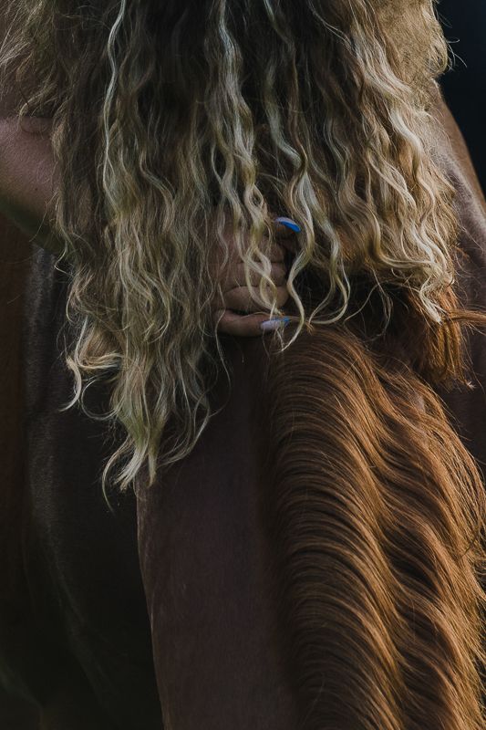 Woman with long curly blonde hair leaning against a chestnut horse with a flowing mane, her hand resting on its back.