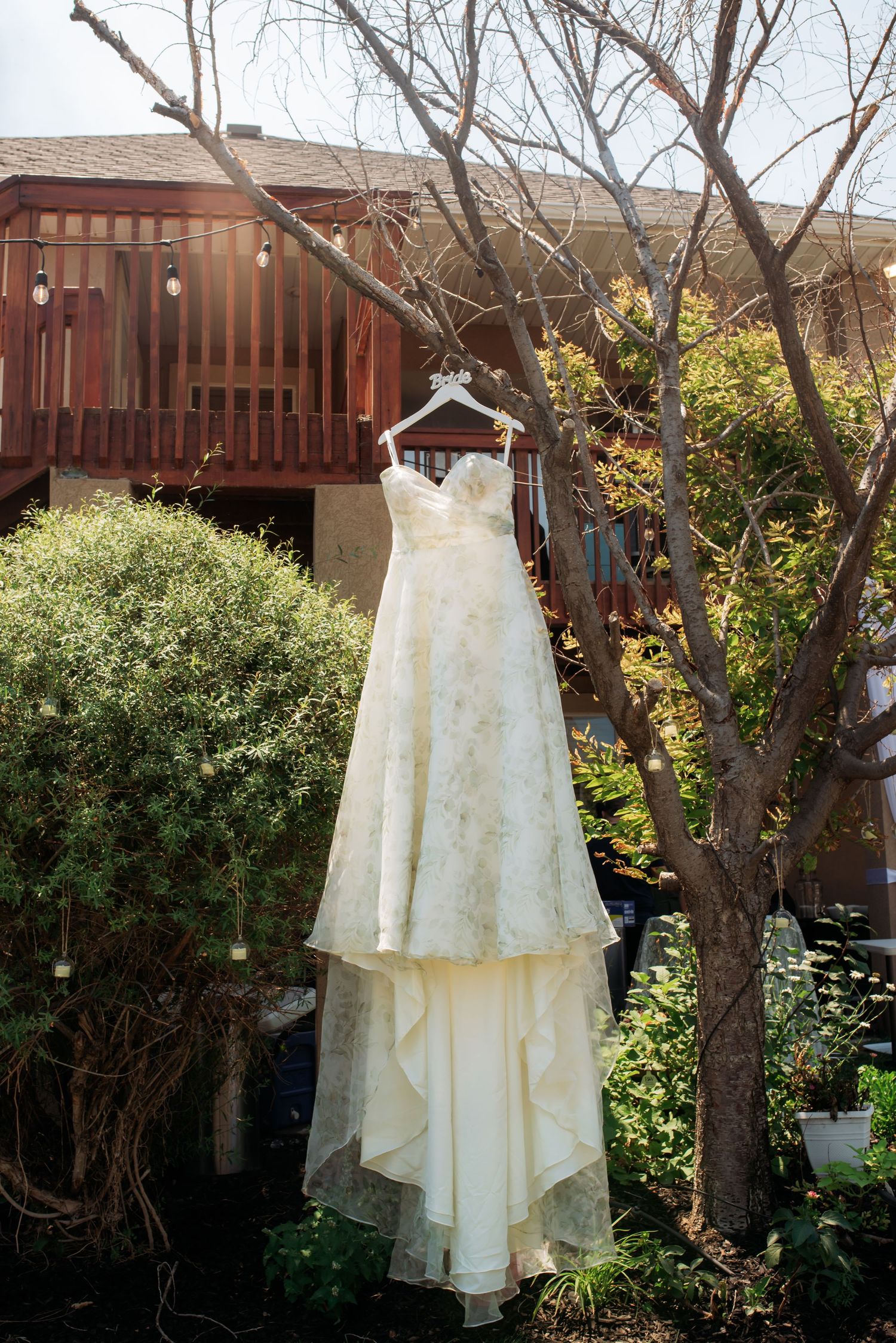 A strapless lace wedding dress hanging on a hanger from a bare tree branch in a garden setting.