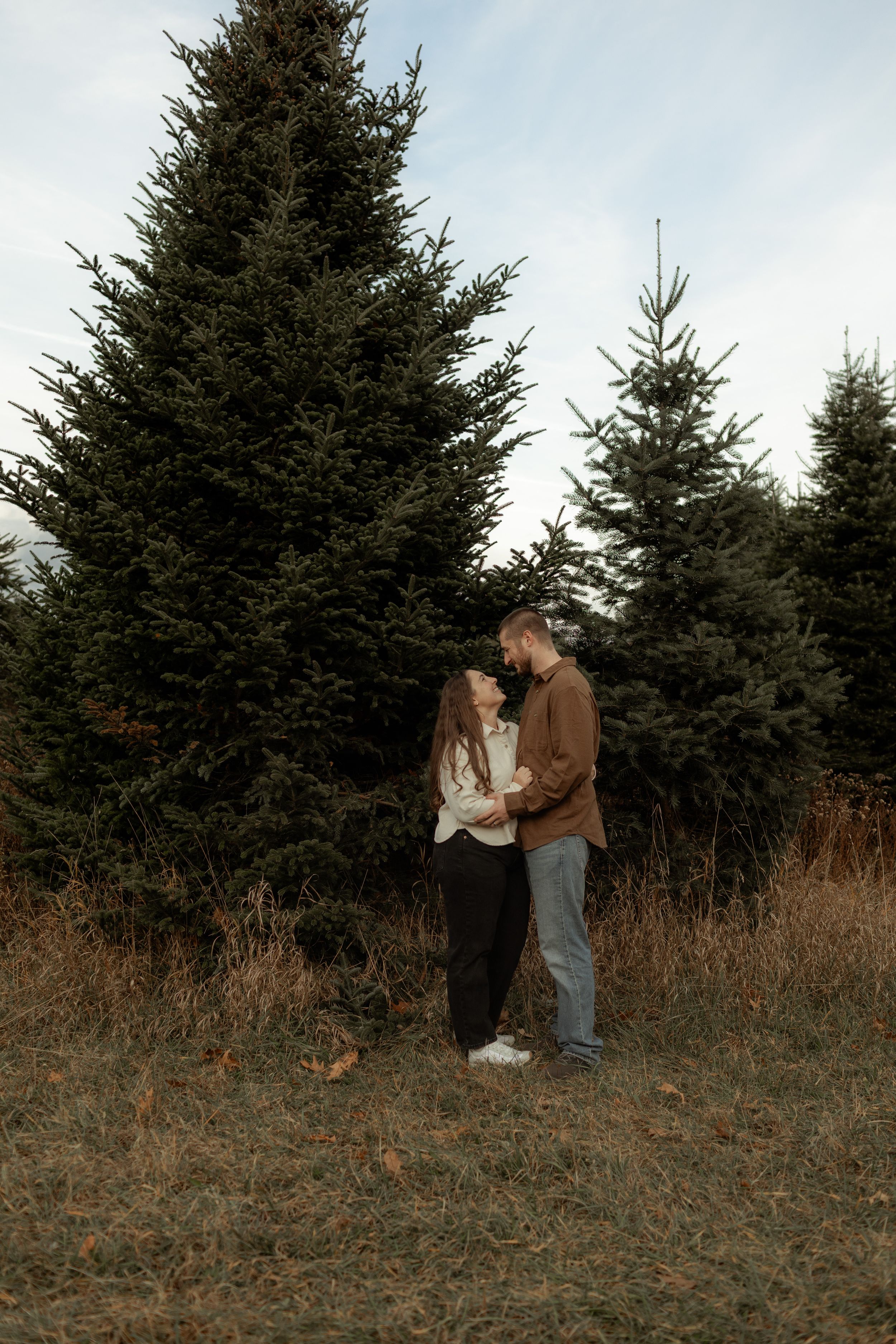 Couple embracing and gazing at each other in a Christmas tree farm with tall evergreen trees and dry grass.