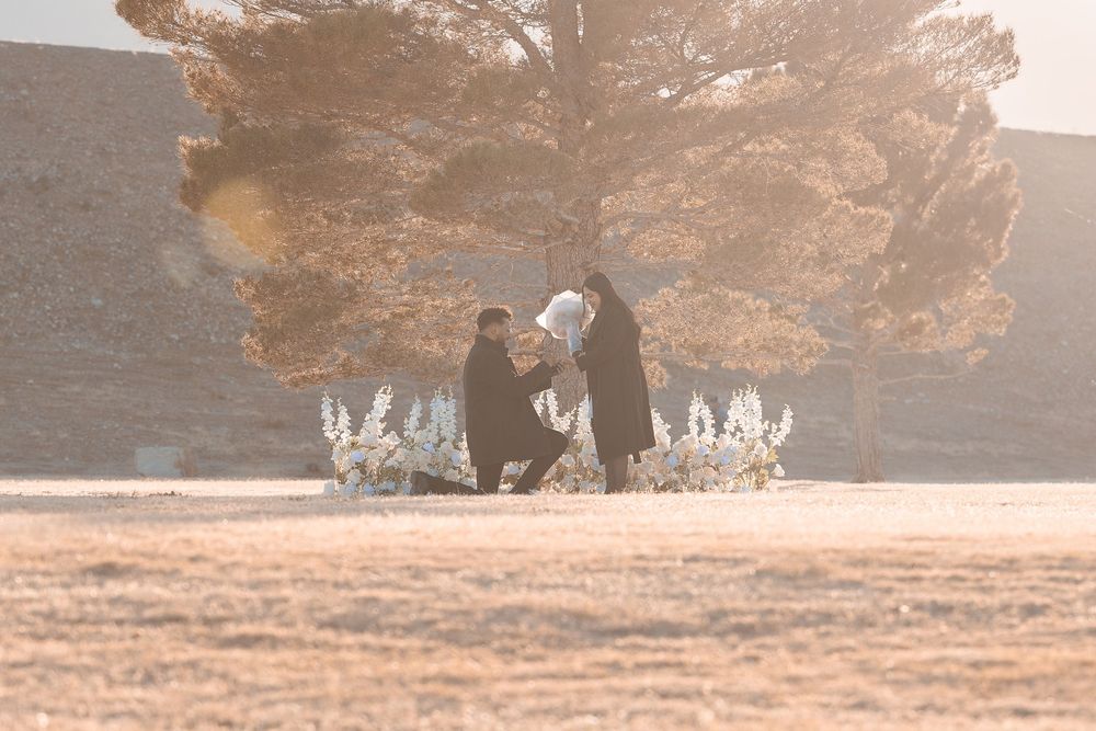 A couple shares a romantic moment outdoors on a frost-covered lawn near white flowers and a large tree in warm sunlight.
