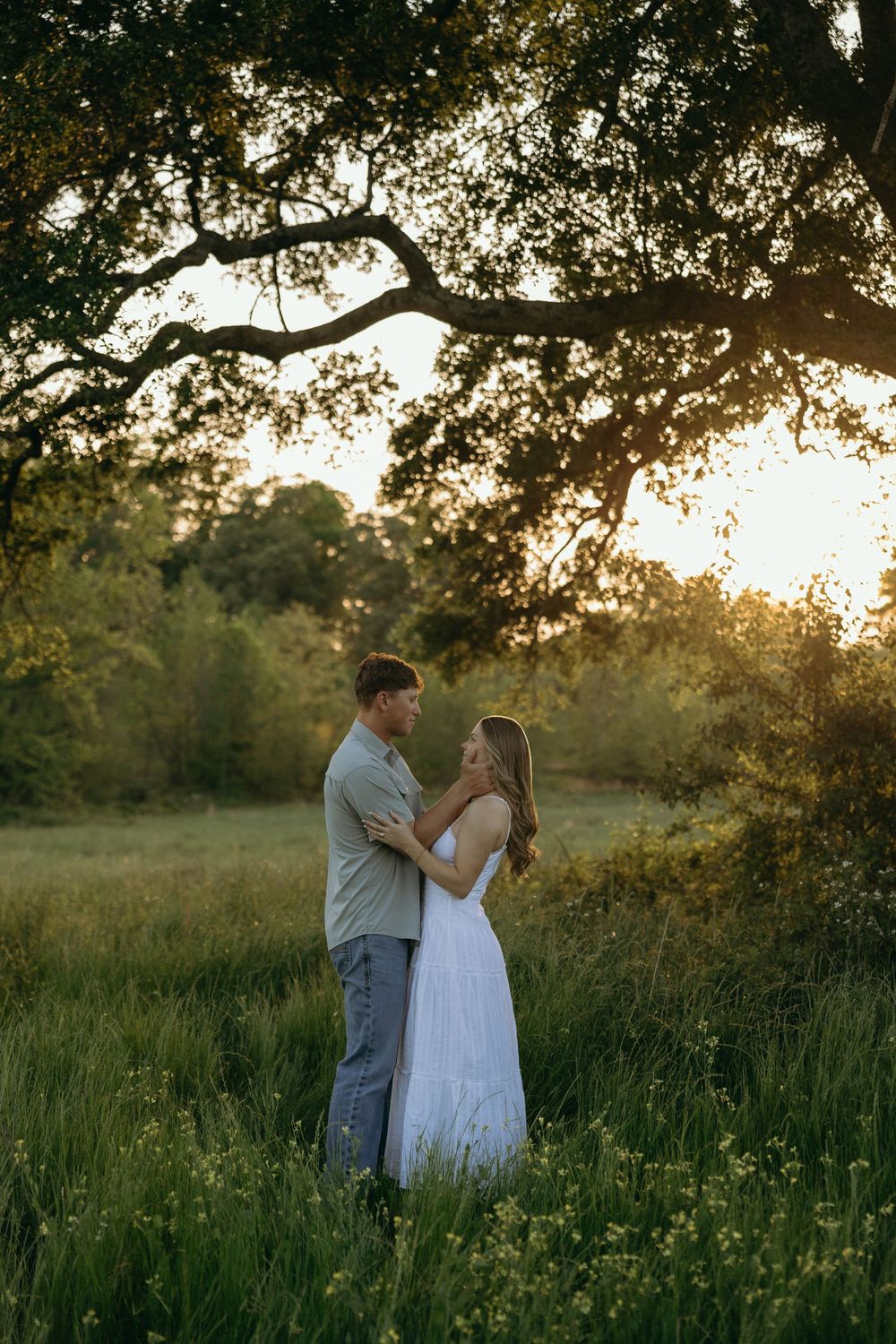 Couple embracing in a sunlit meadow at golden hour, surrounded by lush greenery and a large oak tree.