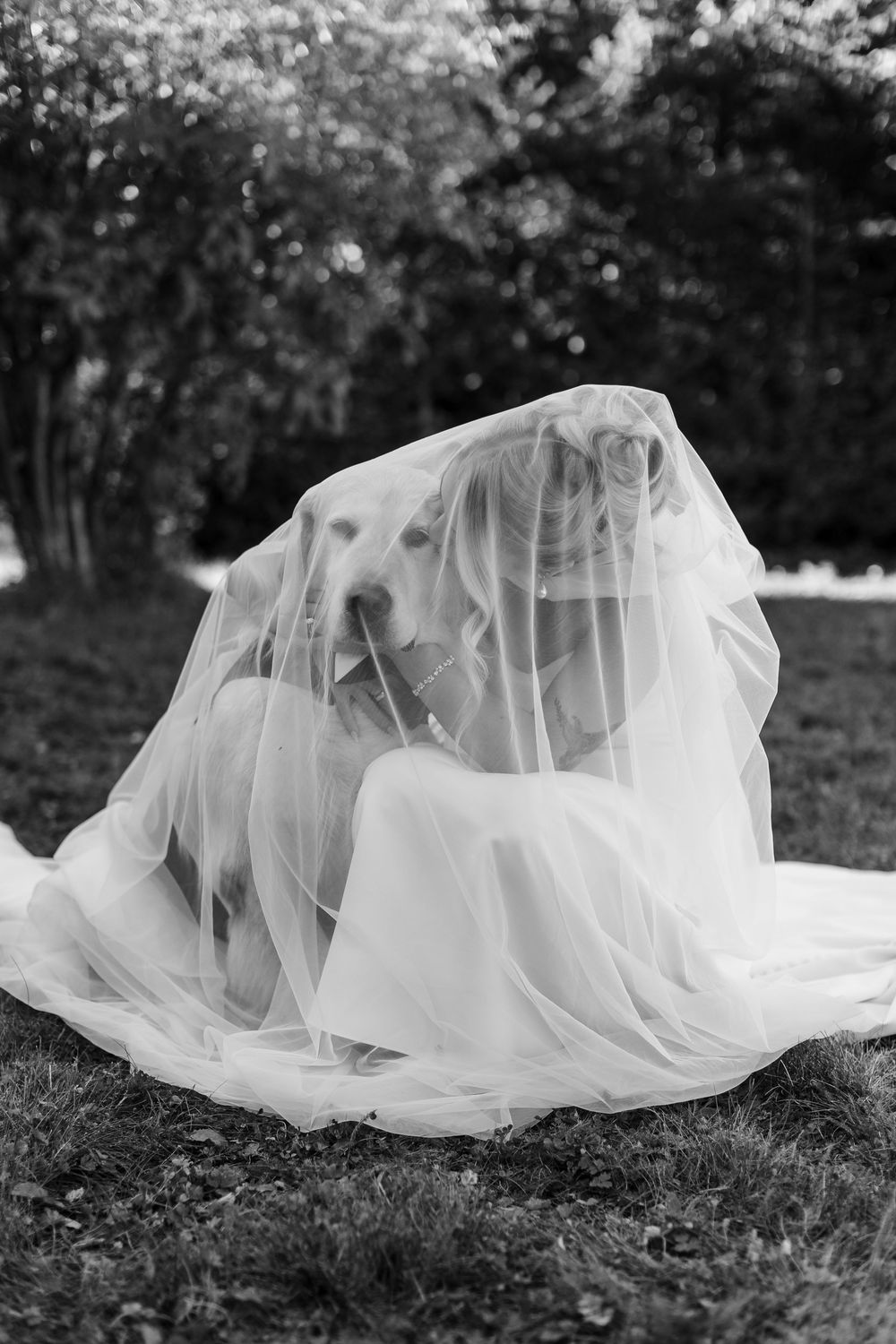 Black and white photo of a bride and her golden retriever dog hidden together under a wedding veil outdoors.