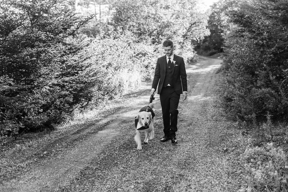 A man in a suit walks a golden retriever down a scenic tree-lined dirt path in a black and white photo.