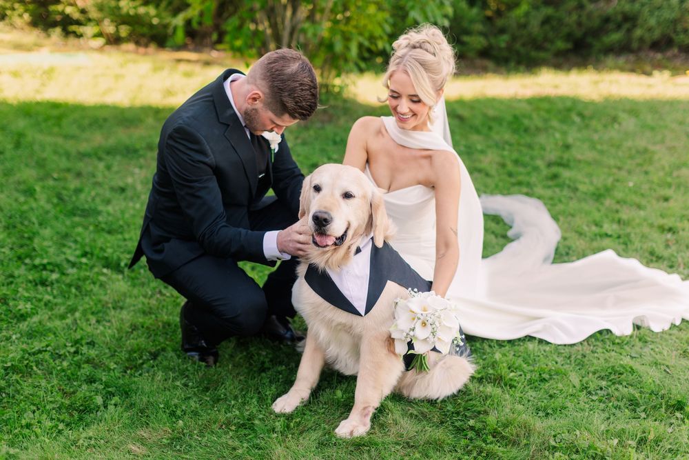 Bride and groom in wedding attire petting their golden retriever dog wearing a tuxedo vest on green grass.