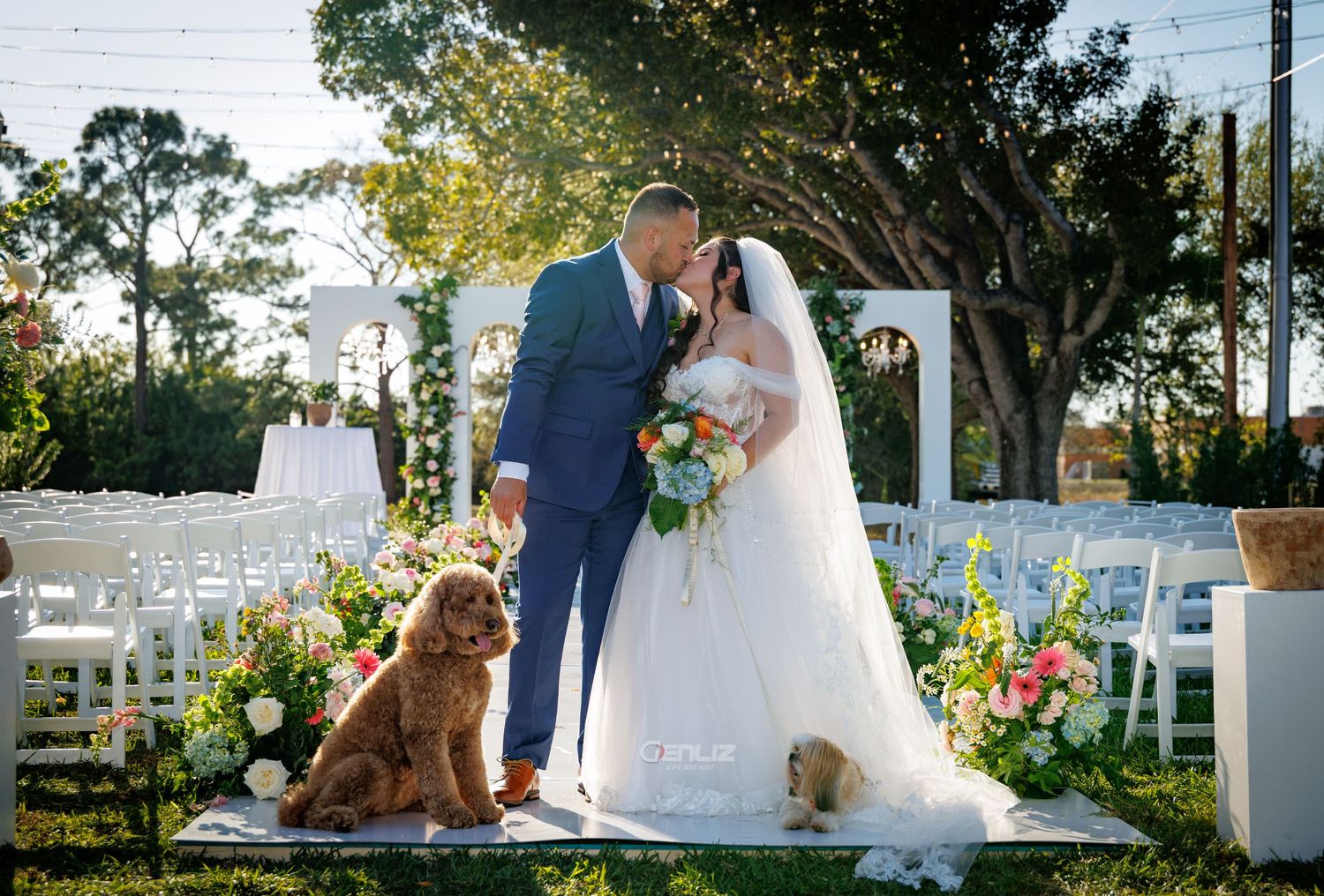 Bride and groom share a kiss at outdoor wedding ceremony with floral arch and two dogs beside them.