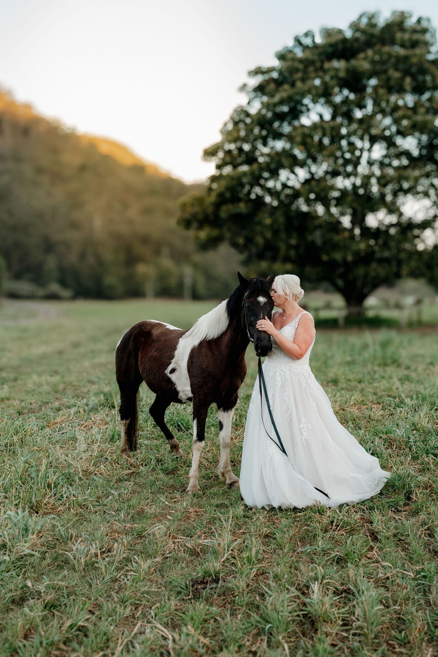 Bride in white gown kissing a brown and white horse in a green field at sunset.