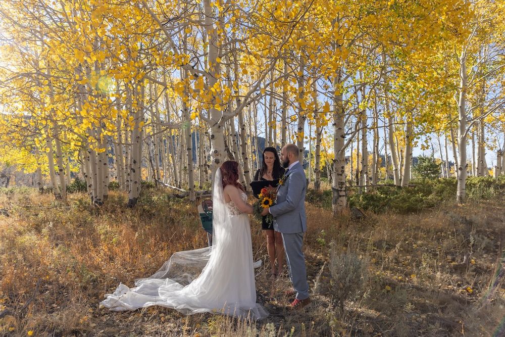 Couple exchanges vows outdoors among golden aspen trees in fall, officiant presiding at intimate forest wedding ceremony.