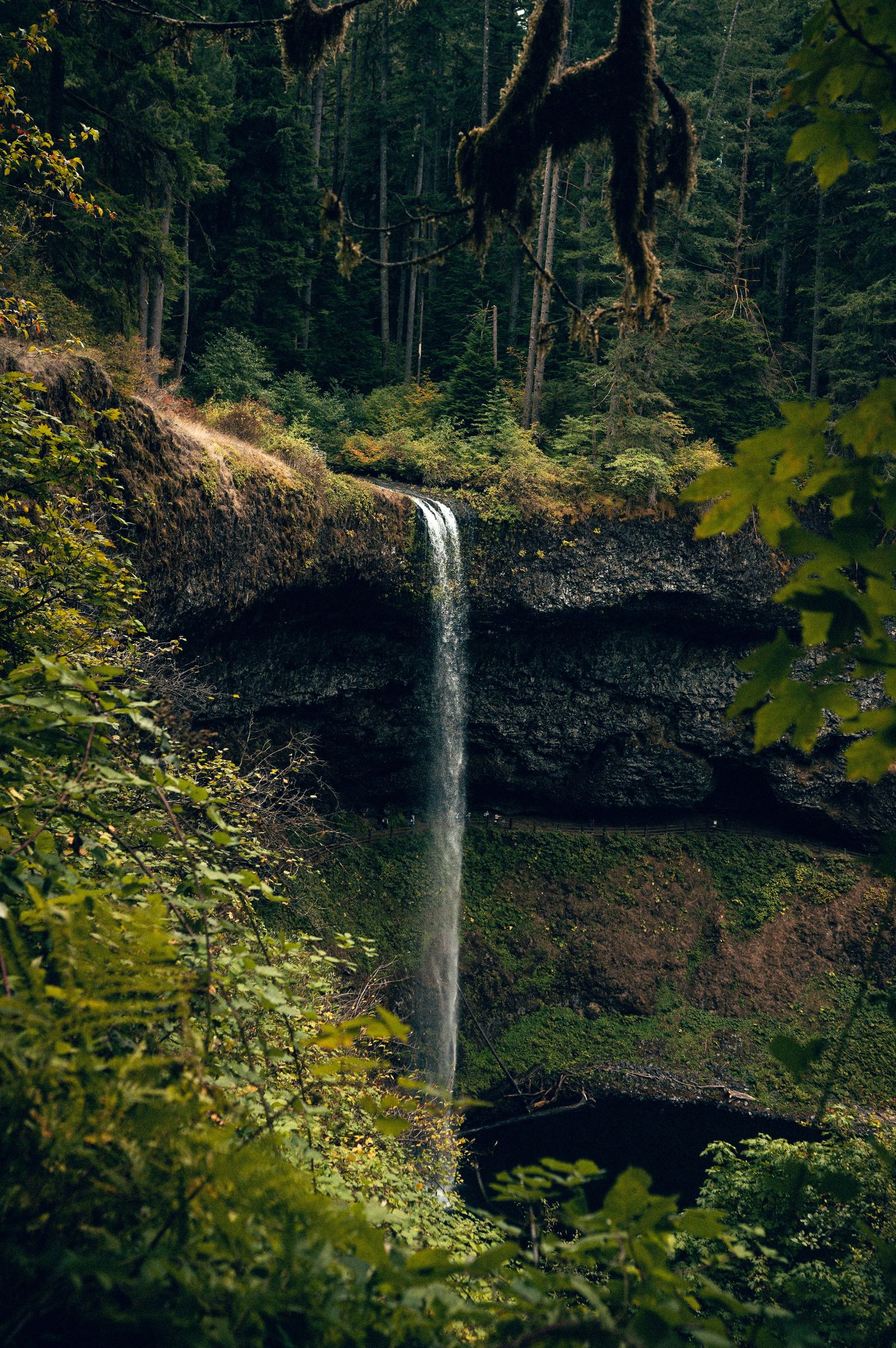 20 best things to do along the Oregon coast. Trail of Ten Falls Oregon. Oregon Coast Destination and travel photography by Carl James