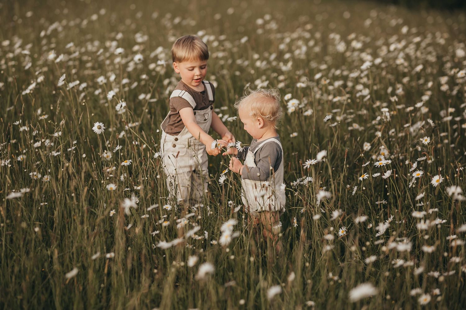 Waikato Family Photographer, Hamilton Family Photographer, Te Awamutu Family Photographer, Waipa Family Photographer