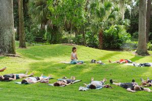 Outdoor yoga class on a sunny green lawn with an instructor sitting cross-legged as participants lie relaxed among palm trees.