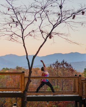 Woman in colorful tank top practices a yoga pose on a wooden deck beside a bare tree, with autumn foliage and misty mountains at sunset.