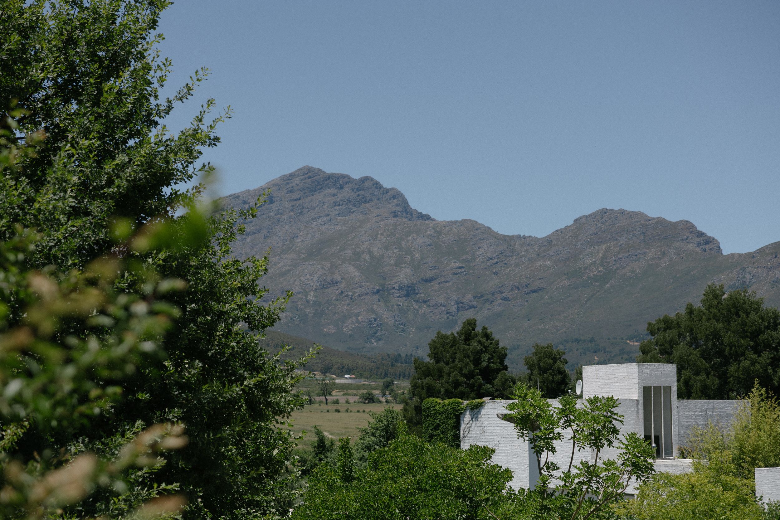 Browse Cape Town and Cape Winelands wedding venues for real weddings and inspiration by Christene de Coning Photography at Johannesdal.
