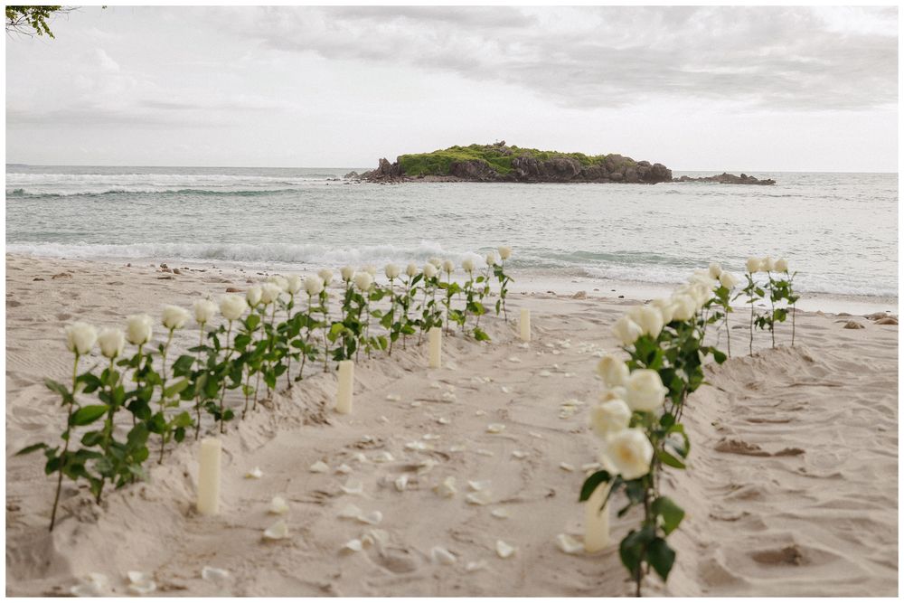 White roses line a sandy beach aisle with ocean and island backdrop for an elegant destination wedding ceremony.