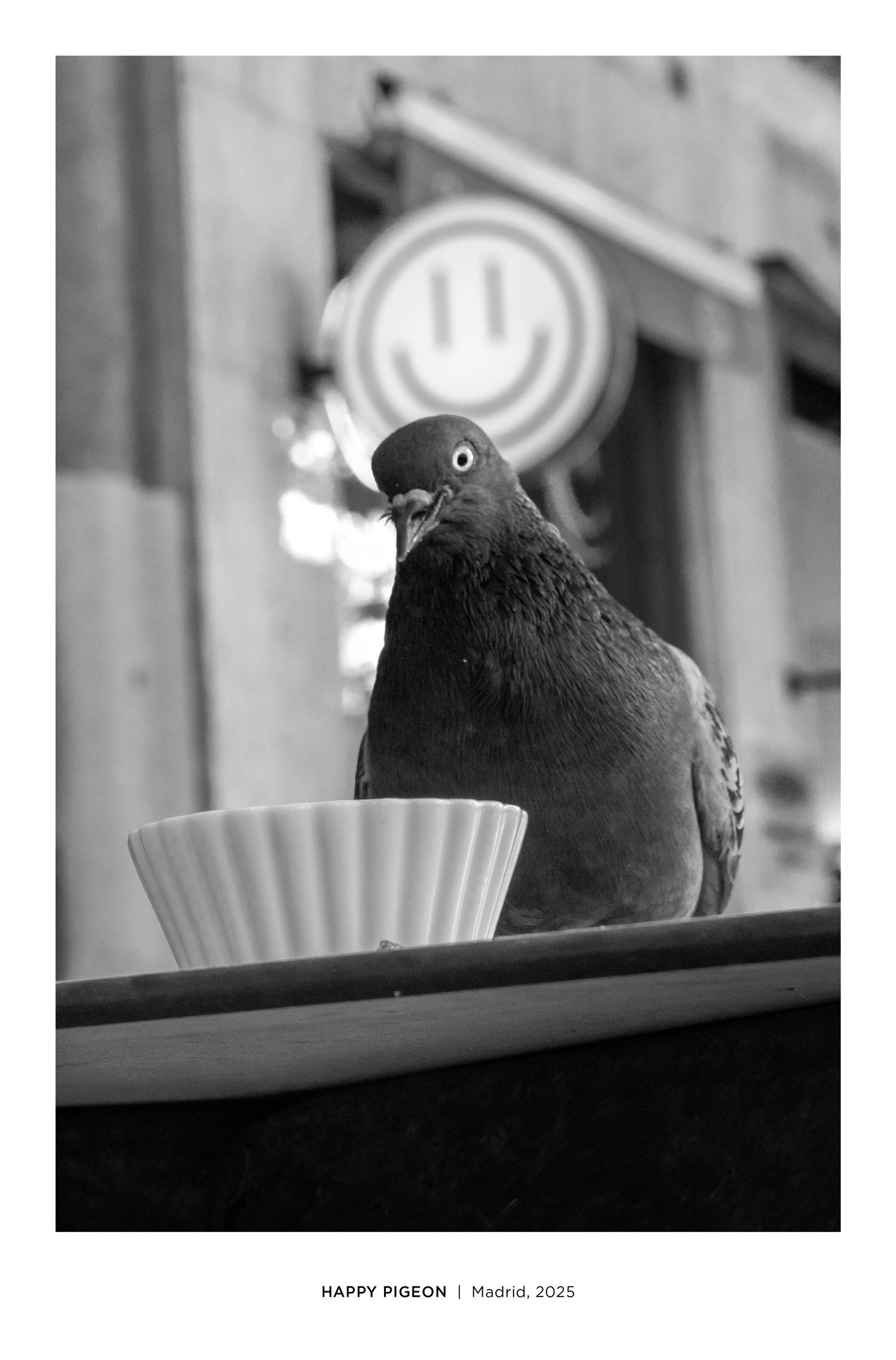A pigeon perched beside a coffee cup on a ledge in Madrid, 2025.