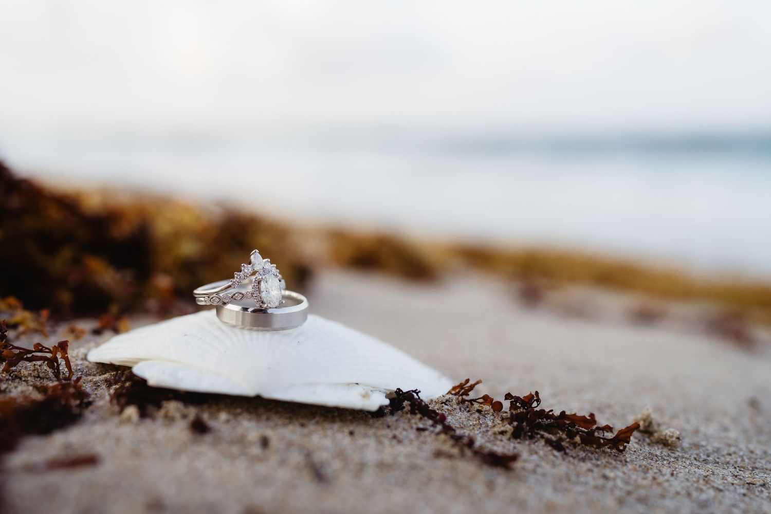 Two silver diamond engagement rings resting on a white seashell on a sandy beach.