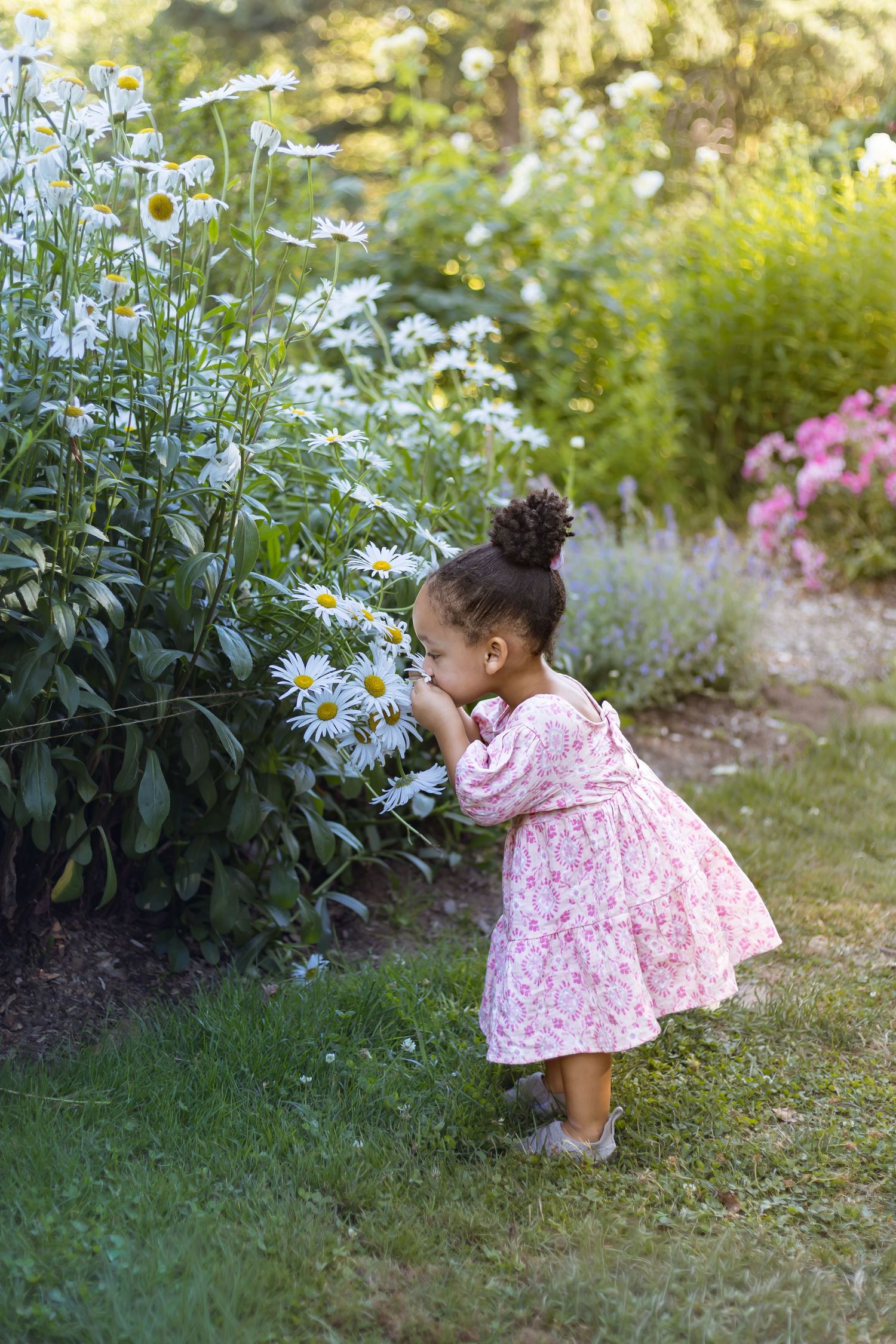 A toddler girl in a pink floral dress smells white daisies in a lush garden.