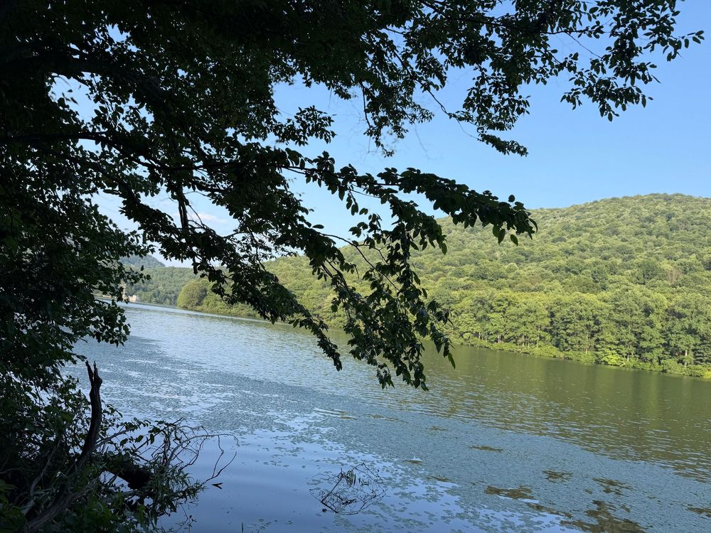 Scenic river view framed by overhanging tree branches with lush green forested hills in the background under a clear blue sky.