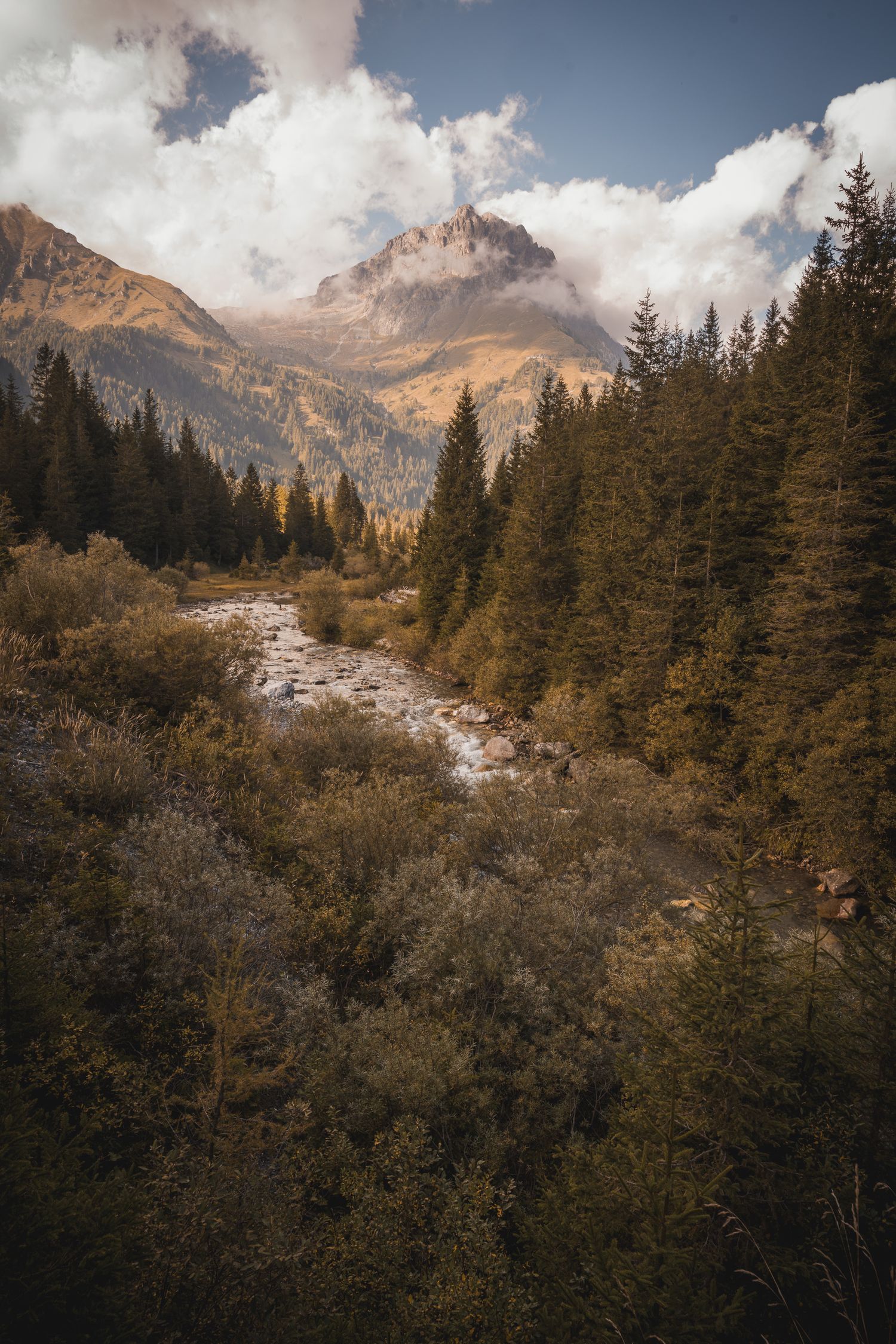 Scorcio ravvicinato di un fiume che scorre immerso in una fitta foresta di pini e abeti, con una cima rocciosa avvolta dalle nuvole