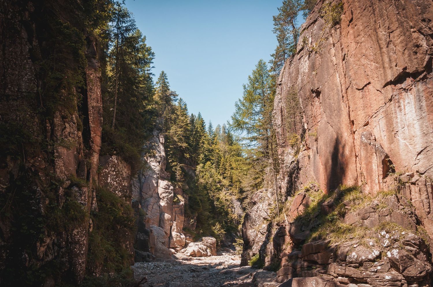 Vista dall'interno di una stretta gola rocciosa o canyon con pareti di roccia scura e alberi arrampicati sui crinali sotto un cielo limpido.