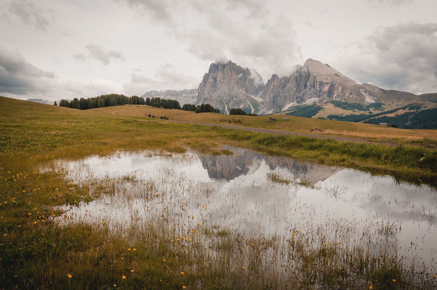 Piccola chiazza d'acqua in un prato di montagna che riflette le vette del gruppo del Sassolungo e il cielo nuvoloso.