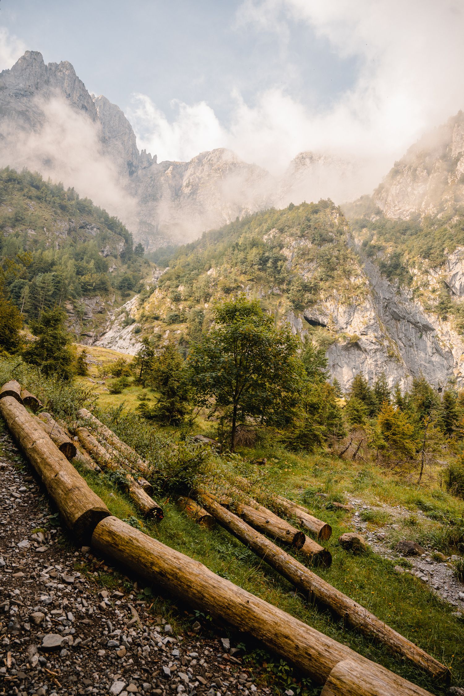 Un sentiero sterrato affiancato da grandi tronchi di legno tagliati, immerso in una valle montana con pareti rocciose parzialmente avvolte d