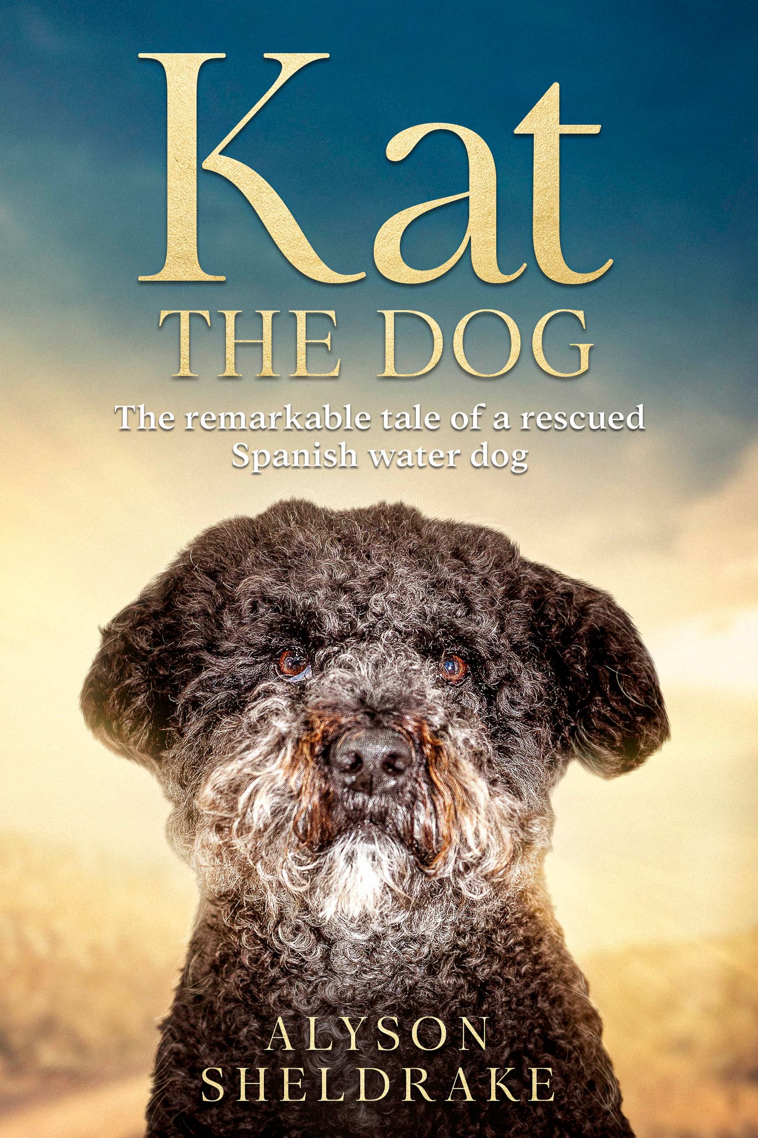 Book cover of Kat The Dog by Alyson Sheldrake, featuring a curly black Spanish water dog against a sunset sky.